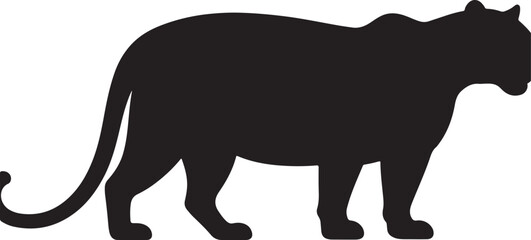 Sri Lankan Panther in silhouette pure  white background.