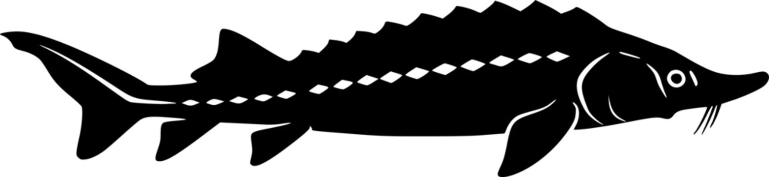 black sturgeon silhouette, aquatic animal, side view clip art preview
