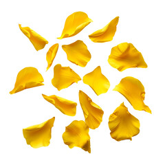 Naklejka premium Bright yellow flower petals floating on black background