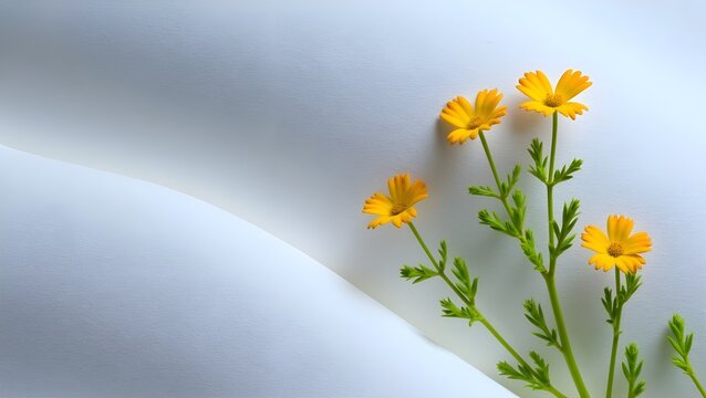 Yellow Flowers on White Textured Paper Waves – Bright Floral Background for Wallpaper, Invitations, and Design