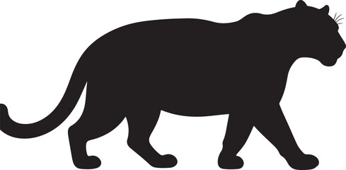 Tiger in silhouette pure white background.