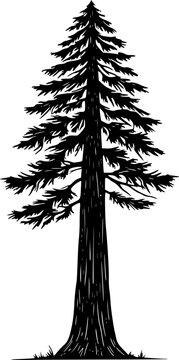 redwood tree line art silhouette vector illustration
