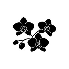 creative Orchids Icon vector silhouette illustration isolated on white background