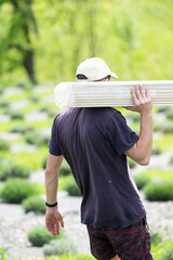 A male worker carries boards for sheathing a gazebo in a lavender field.