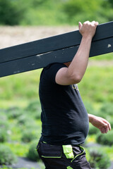 A man carries a wooden beam for installing a gazebo in a lavender field.