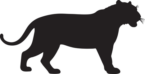 South China Tiger in silhouette.