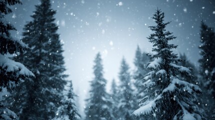 Naklejka premium Serene winter forest scene with dense evergreen trees covered in fresh white snow, tall conical pines, dark-green needles, softly falling large snowflakes, and hazy light-blue sky.