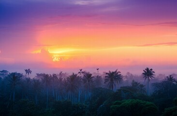 Obraz premium tropical jungle landscape during sunset, featuring tall silhouetted palm trees and dense foliage. 