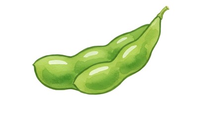 Watercolor Illustration of Fresh Edamame Pods on White Background