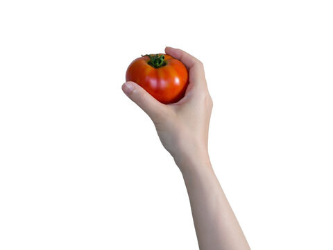 トマトを持つ手