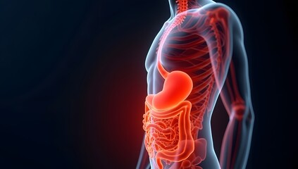 Medical-style visualization of stomach and intestinal discomfort. AI-Generated!