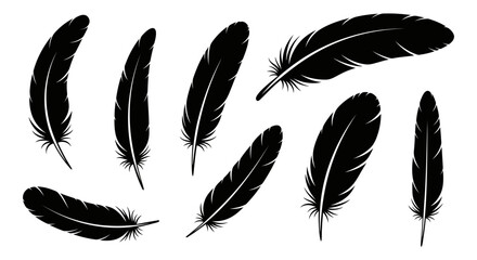 Black feather set isolated. EPS 10