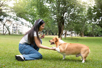 Joyful Interaction with Corgi in Park. Young woman playing with her dog outdoors.
