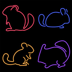 chinchila group of neon icons, vector illustration, on a black background.