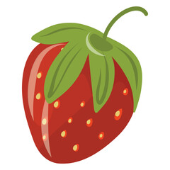 Fresh and sweet strawberry berry vector illustration isolated on a white background