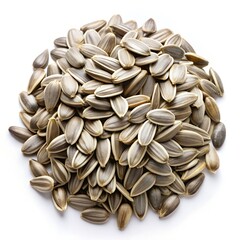 Sunflower Seeds Isolated on White Background Photo