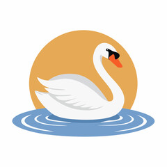 Fototapeta premium swan on the water