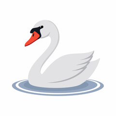 Fototapeta premium swan on the water