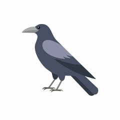 Obraz premium crow on a white background