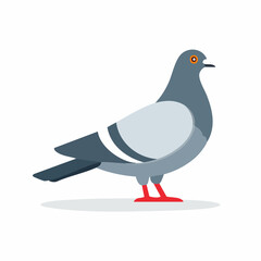 vector illustration of dove
