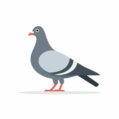 vector illustration of a pigeon