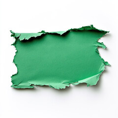 Fototapeta premium Green torn paper texture isolated white background with rough edges