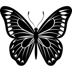 black butterfly vector illustration on white background