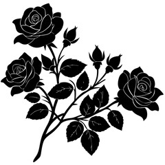 set of roses Silhouette on white background