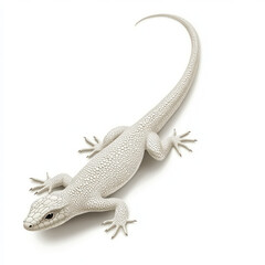 Naklejka premium White lizard with textured scales and slender toes white background