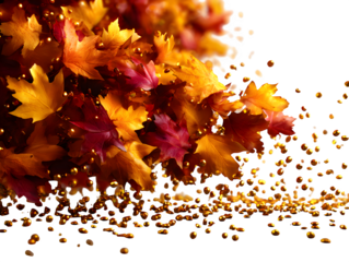 Autumn leaf confetti scattered dynamically across the frame, each with different shape and tone, styled on white background, isolated to transparent background --ar 4:3 --v 7.0 --p 537mr6h --s 250