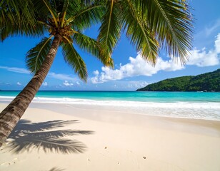 Fototapeta premium Tropical beach paradise (2)