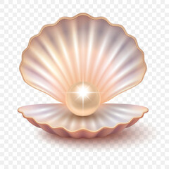 Vector 3d Realistic Pearl Shell, Isolated. Shiny Natural Pearl in Seashell, Luxury Jewelry Symbol, Elegant Marine Icon, Precious Gemstone, Ocean Treasure, Oyster Pearl Decorative Design Element