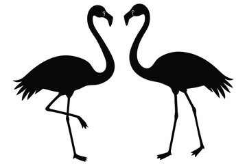 Vector Silhouette Flamingo Shape Isolated.