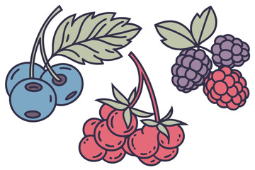 Berry Icon Pack Blueberries Raspberries and Other Fruit Icons for Design