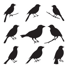Simple Black Silhouette of Various Birds
