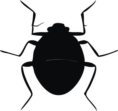 recommend clip art: "Bedbug Silhouette Isolated on White Background"
                    