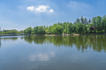 The reflection of the city oasis in the lake under the blue sky and white clouds