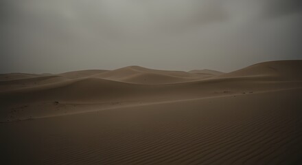 Naklejka premium Serene Desert Landscape Under a Cloudy Sky