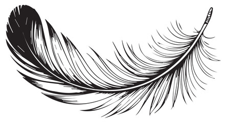 A delicate black and white line drawing of a single feather quill © Mehedy