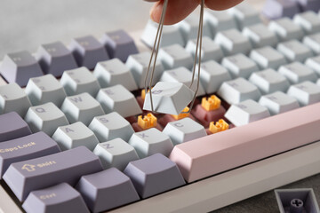 Replacement keycaps and switches of mechanical computer keyboard. Customization and build keyboard...