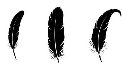 Bird plumage set. Big set of bird feathers design. fluffy swan. Pen icons design. set of bird feathers design. EPS 10