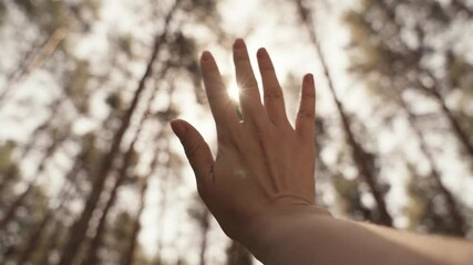 A man's hand in the rays of the sun reaches for the sky, time to dream and travel, to pray asking for help in life, religious beliefs of different nationalities, the slow motion of a moving hand in