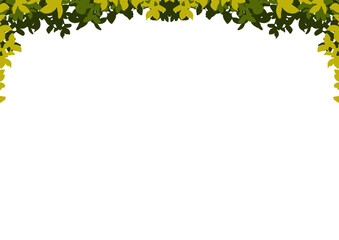 top floral frame of green leaves transparent background png