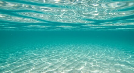 Obraz premium Underwater Serenity Sunlit Sandy Seabed with Turquoise Waters.