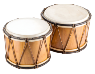 A pair of beautifully crafted wooden percussion instruments ready to create vibrant musical sounds.