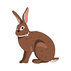 Rabbit or bunny animal. Vector fauna for easter or spring holiday. Furry isolated hare clipart. Fluffy domestic pet or wild forest mammal with long ears and whiskers. Nature and furry wildlife.