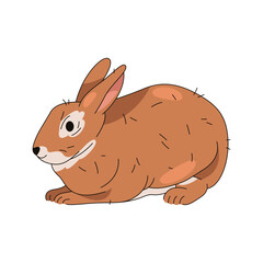 Forest rabbit or woodland hare, domestic bunny. Vector illustration of brown mammal with whiskers and ears. Easter herbivore animal. Countryside pet. Wildlife and nature, zoology and biology theme.