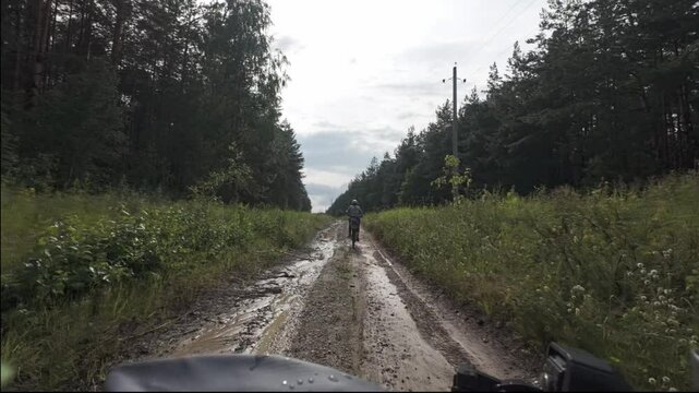 cycling in nature in wild places, bike-packing. Riding in the forest in the rain
