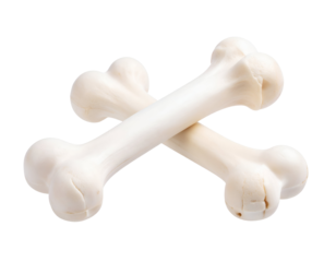 Two clean, light-colored bones crossed in a classic X-shape, evoking themes of canine play or symbolic warning.