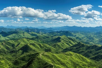 Naklejka premium wind turbines on green field in summer